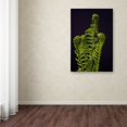 thumbnail image 3 of Trademark Fine Art "Fern Fronds Unfolding II" Canvas Art by Kurt Shaffer, 3 of 3