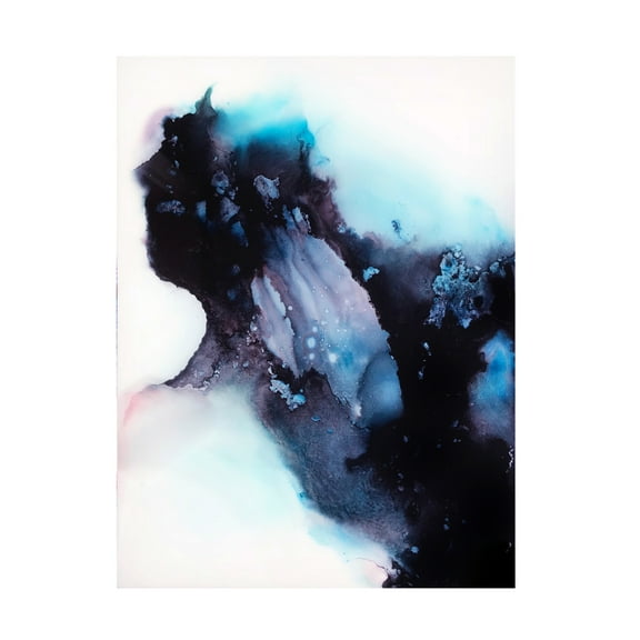 Trademark Fine Art Alyson Storms Portal Canvas Wall Art