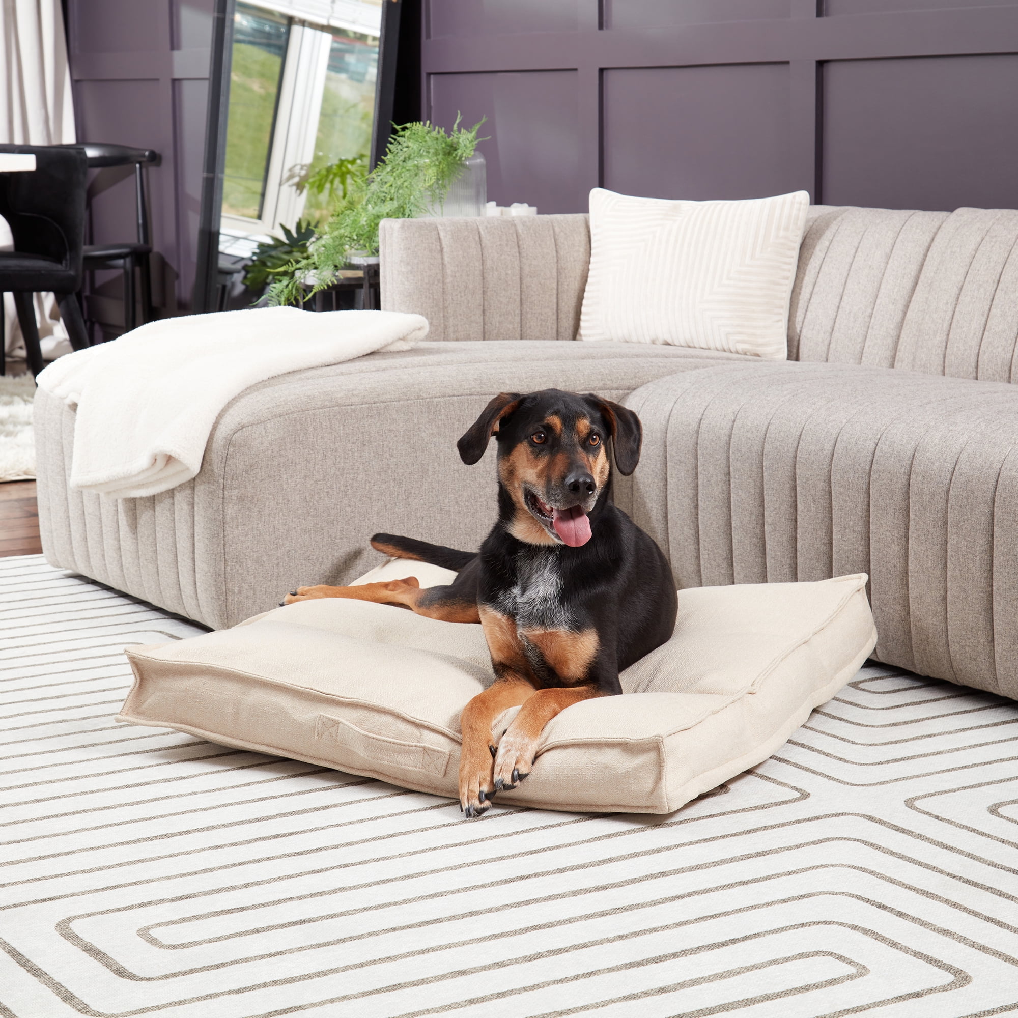 Happy Hounds Milo Square Tufted Pillow Dog Bed- Cream- Medium (32 x 32 in.)