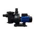 thumbnail image 1 of Bomba Para Piscina Alberca 1Hp 110/220v 325l/m BP-1 Igoto, 1 of 7