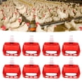 thumbnail image 1 of Bebedero automático para pollos 10 piezas comedero de agua seguro para aves de corral a prueba de fugas duradero con red para ganso para pollo para exteriores para conejitos ANGGREK Otros, 1 of 8