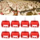thumbnail image 1 of Bebedero automático para pollos 10 piezas comedero de agua seguro para aves de corral a prueba de fugas duradero con red para ganso para pollo para exteriores para conejitos ANGGREK Otros, 1 of 8