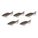thumbnail image 2 of 5 señuelos de pesca Swimbaits realistas de superficie, duros y crankbaits para bagres, crappies, salmones, lubinas y luciopercas., 2 of 9