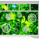 thumbnail image 3 of 18 pegatinas de ventana de mandala anticolisión para salvar pájaros de colisiones de ventanas, pegatinas de arco iris, 3 of 5