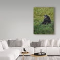 thumbnail image 3 of Trademark Fine Art 'Black Bear Hugging Cub' Canvas Art by Galloimages Online, 3 of 3