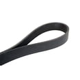 thumbnail image 3 of Continental OE Technology Series 4080755 8-Rib, 75.5" Multi-V Belt, 3 of 4