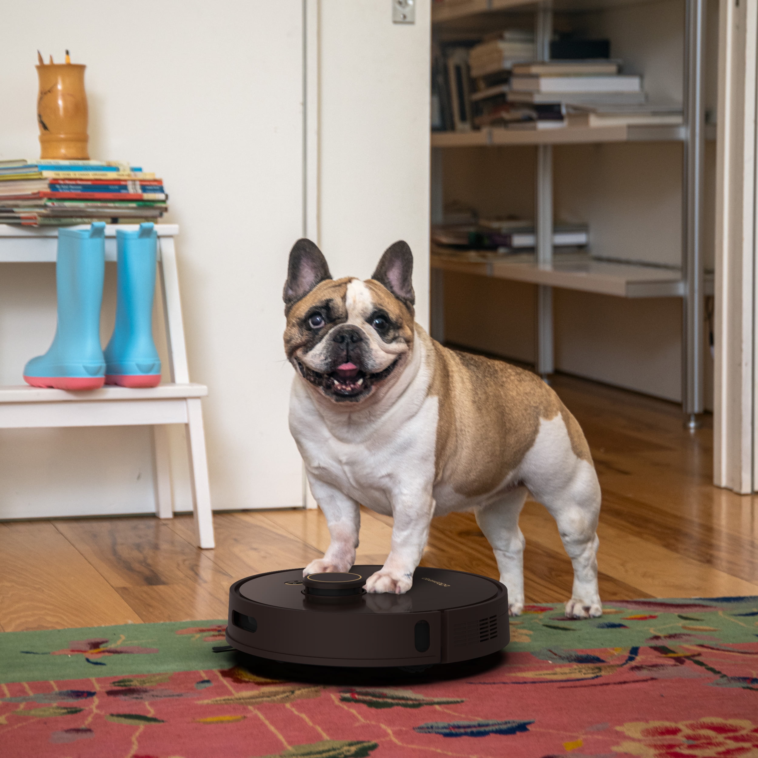bObsweep Orb-i Robot Vacuum, 100-Day Self-Emptying Bin, 5000pa Suction, Cholocate, New