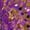 Purple, variant on Girls Sequin Tassel Latin Dance Dress Sleeveless Halter Keyhole Back Jazz Hip-hop Dress For Talent Show Purple 16