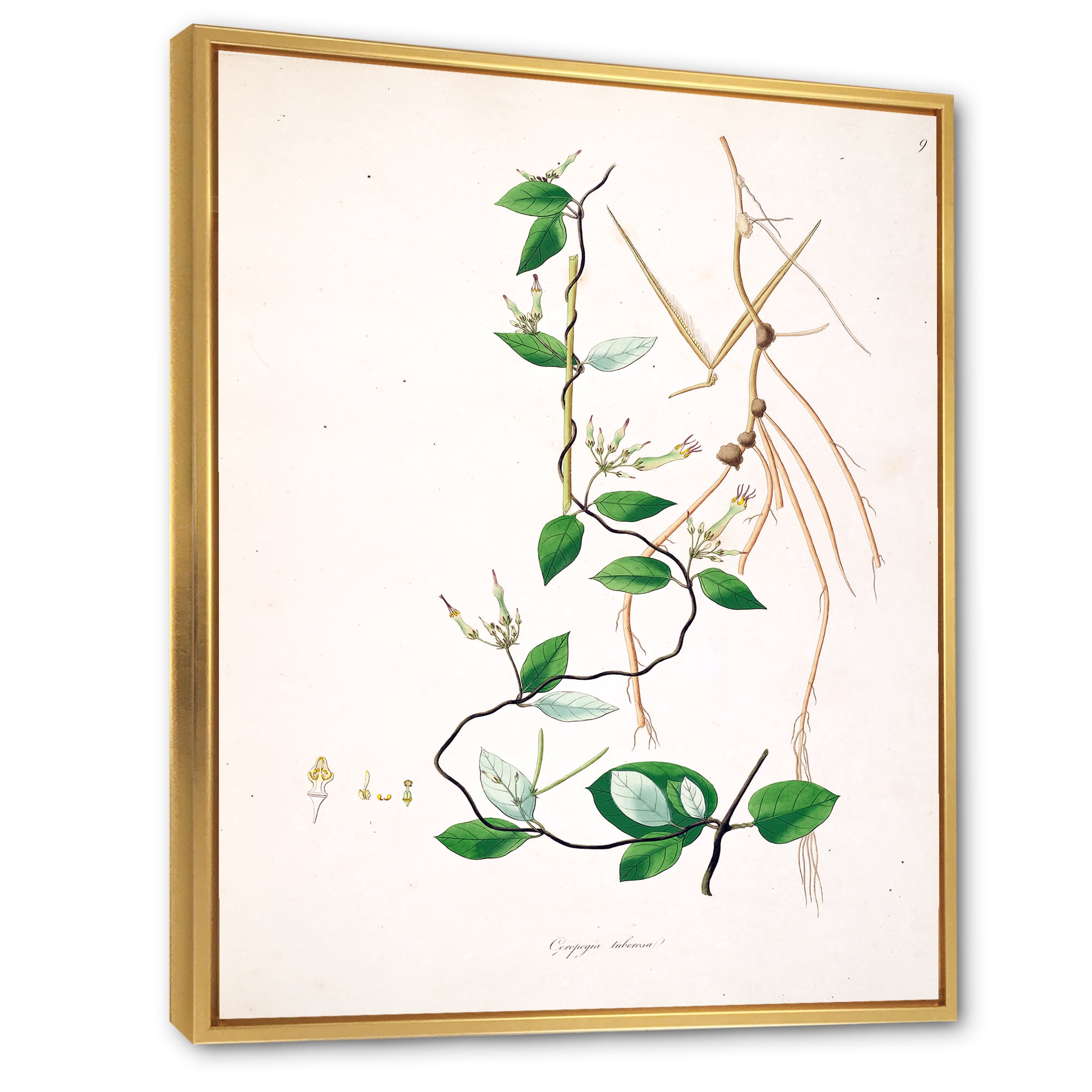 Designart 'Ancient London Plants IV' Farmhouse Framed Canvas Wall Art Print