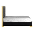 thumbnail image 3 of Contemporary Velvet and Metal 60" Queen Bed - Black and Gold, 3 of 7