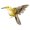 C, variant on Artificial Feathered Birds for Home Yard and Lawns Decoration Bird Figurine Perfect for Theme Parties and Event
