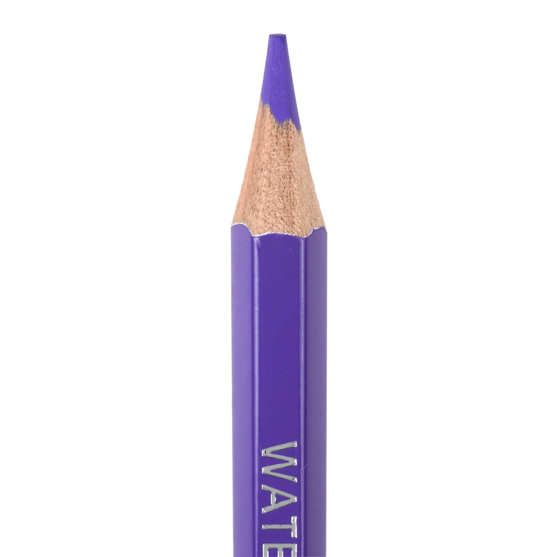 6 Packs: 72 ct. (432 total) Level 1 Watercolor Pencils by Artist's Loft