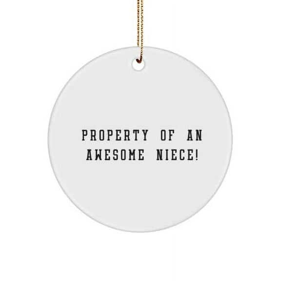 Cheap Niece Gifts, Property of an Awesome Niece!, Fun Circle Ornament for Niece from Aunt