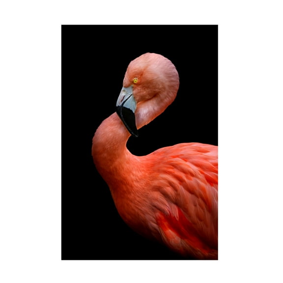 Trademark Fine Art Hardik Pandya Untitled Canvas Wall Art