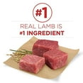thumbnail image 4 of Purina One Dog Lamb And Rice 18lb, 4 of 6