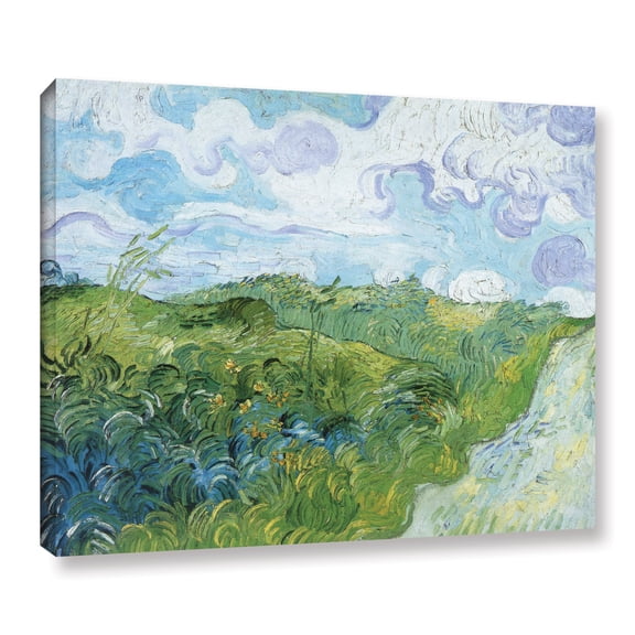 Field with Green Wheat Gallery Wrapped Canvas