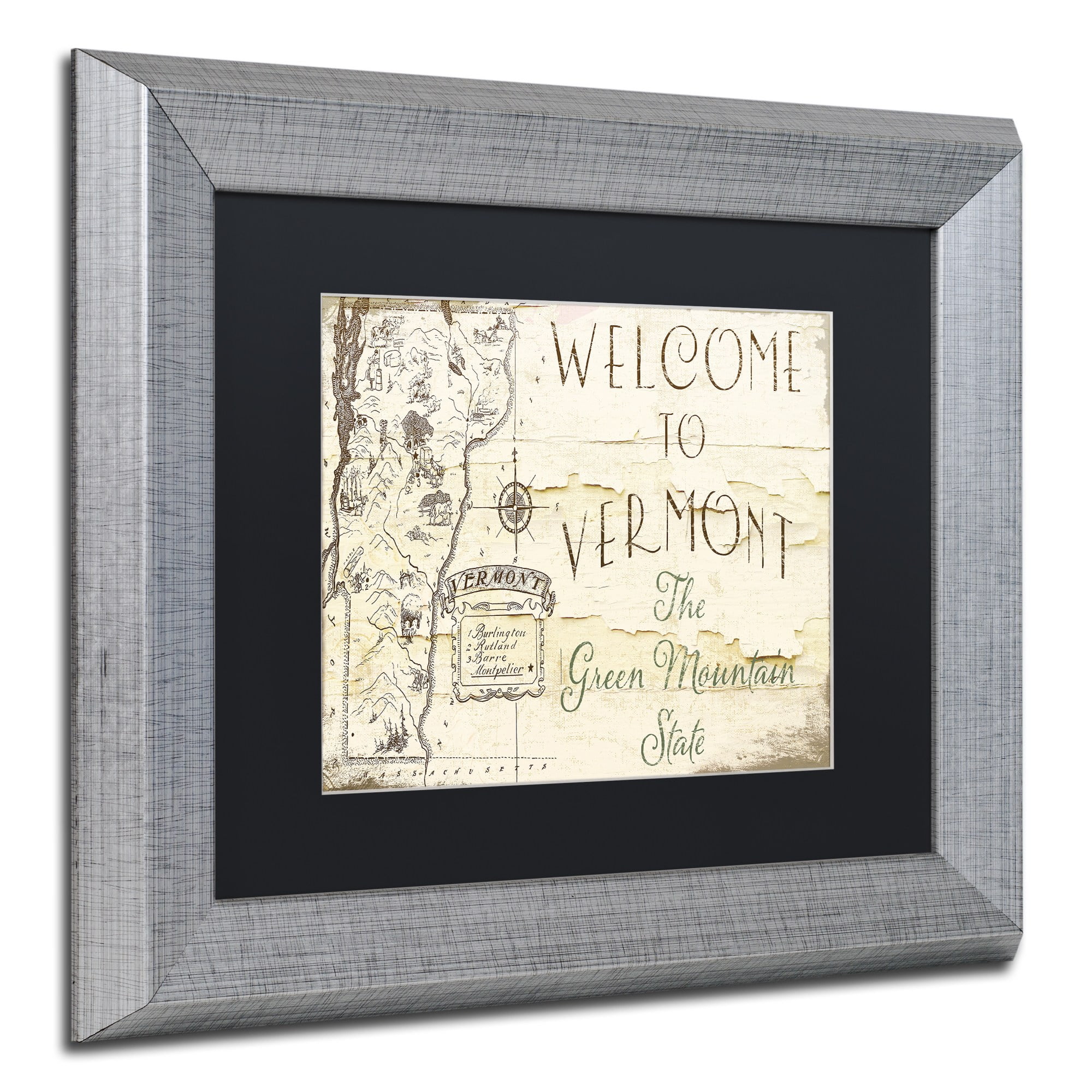 Trademark Fine Art "Vermont Summer IX" Canvas Art by Color Bakery Black Matte, Silver Frame