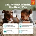 thumbnail image 3 of Lil' Zesties™ Calming Squares™ Chewables for Dogs, 3 of 11