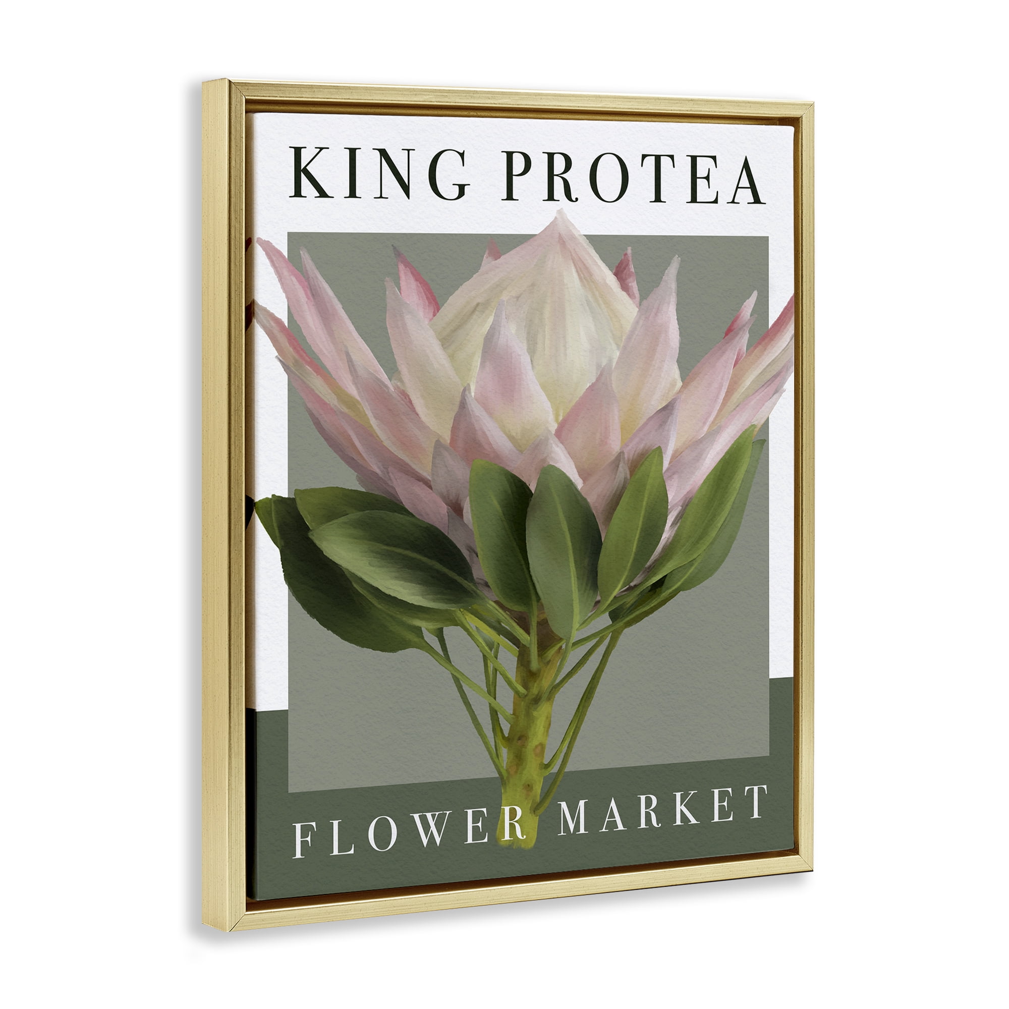 Stupell Industries King Protea Flower Market Gold Framed Floater Canvas Wall Art, design by Jennifer Stith