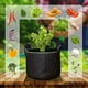 thumbnail image 2 of 3 Piezas Bolsa de Plantación de 5 Galones Bolsa de Plantación con Asas Bolsa de Cultivo de Plantas Macetero de Tela No Tejida para Tomates Patatas Flores Plantas Maceta 30, 2 of 5