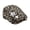 B, variant on Women's Leopard Plaid Star Newsboy Cap: Retro Print Streetwear Hat for Daily, Fall, Winter, Leopard