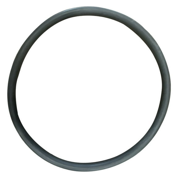 Jacuzzi (47-0433-02-R) Filtromat Replacement O-Ring || O-234