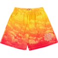 thumbnail image 1 of EE Basic-pantalones cortos de gimnasio para hombre, Shorts deportivos de secado rápido, malla transpirable, para la playa y el verano Fivean unisex, 1 of 2