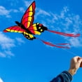 thumbnail image 3 of Hermosas mariposas, deportes al aire libre, juego de vuelo, actividad en el parque de la playa, coloridas estiloC, 3 of 7
