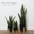 thumbnail image 4 of Bornbridge Large Artificial Snake Plant in Black Mid Century Ceramic Planter, 4 of 4
