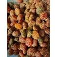 thumbnail image 4 of Mixed Gushers Candy Pack  Chamoy Tajin Gushers (8oz) - (Choose Your Flavor Variation 1 Pack), 4 of 5