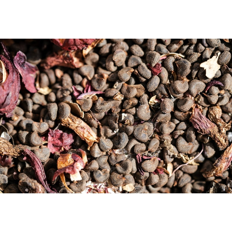 perennial plant seeds Perennial Wildflower Seeds Mixture – Sweet Yards