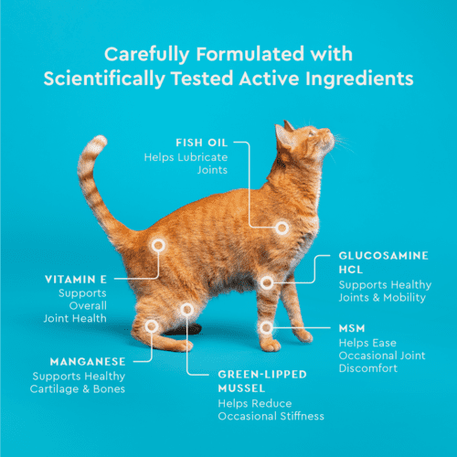 Vet IQ Hip & Joint Health Supplement for Cats, Chicken Flavored Crunchy Chews, Approx. 30 Day Supply