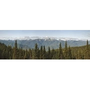 Mountain range, Olympic Mountains, Hurricane Ridge, Olympic National Park, Washington State, USA Poster Print (8 x 10)
