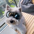thumbnail image 3 of 1pc Dog Sunglasses,Waterproof Windproof Eye Protection Cool Dog Goggles Pet Glasses Eye Wear Protection For Small Medium Dog, 3 of 4