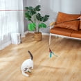 thumbnail image 3 of FYNIGO Interactive Cat Feather Toys for Indoor Cats Kittens,2 Retractable Cat Teaser Wand and 1 Rainbow Wand with 9 Refills and 2 Spare Hook(14 Pack), 3 of 7