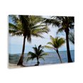 thumbnail image 3 of Stupell Industries Honduras Daytime Palms Canvas Wall Art design by Natalie Carpentieri, 30 x 45, 3 of 7