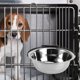 thumbnail image 4 of NUOLUX Comedero De Inoxidable Para Jaula De Mascotas Con Y Capacidad Amplia Para, 4 of 8