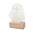 thumbnail image 1 of Botella de pronóstico del tiempo con forma de gota de agua de cristal transparente con forma de corazón de tormenta, adorno de base de madera líquida para decoración del hogar, boda, regalo artesanal, 1 of 5