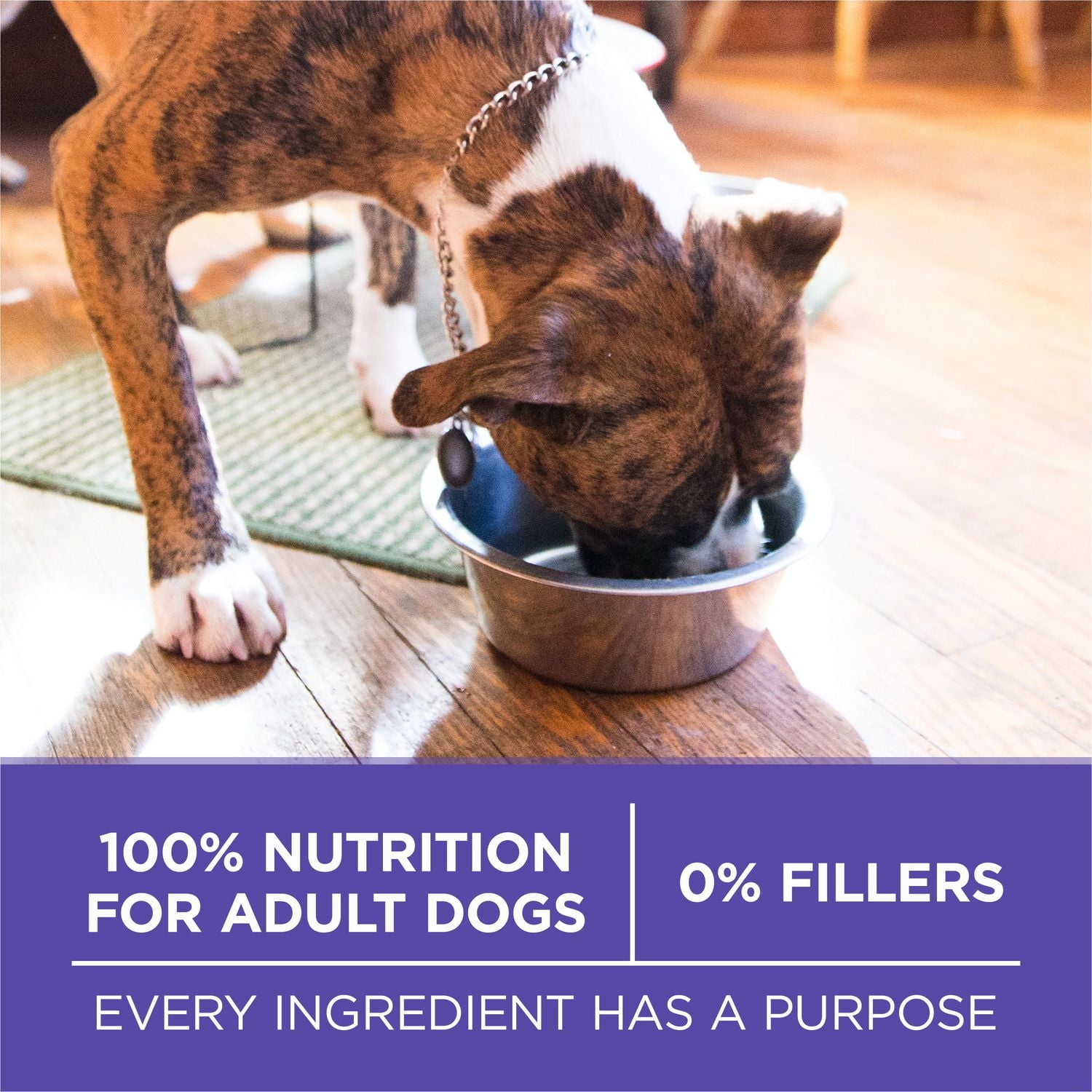 Purina ONE SmartBlend Vieillir en Santé 7+ Poulet, Nourriture Sèche pour Chiens