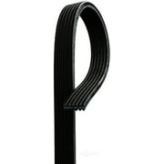 ACDelco Professional 6DK725 Dual Sided V-Ribbed Serpentine Belt Fits select: 2006 VOLVO XC90, 2003-2007 VOLVO XC70
