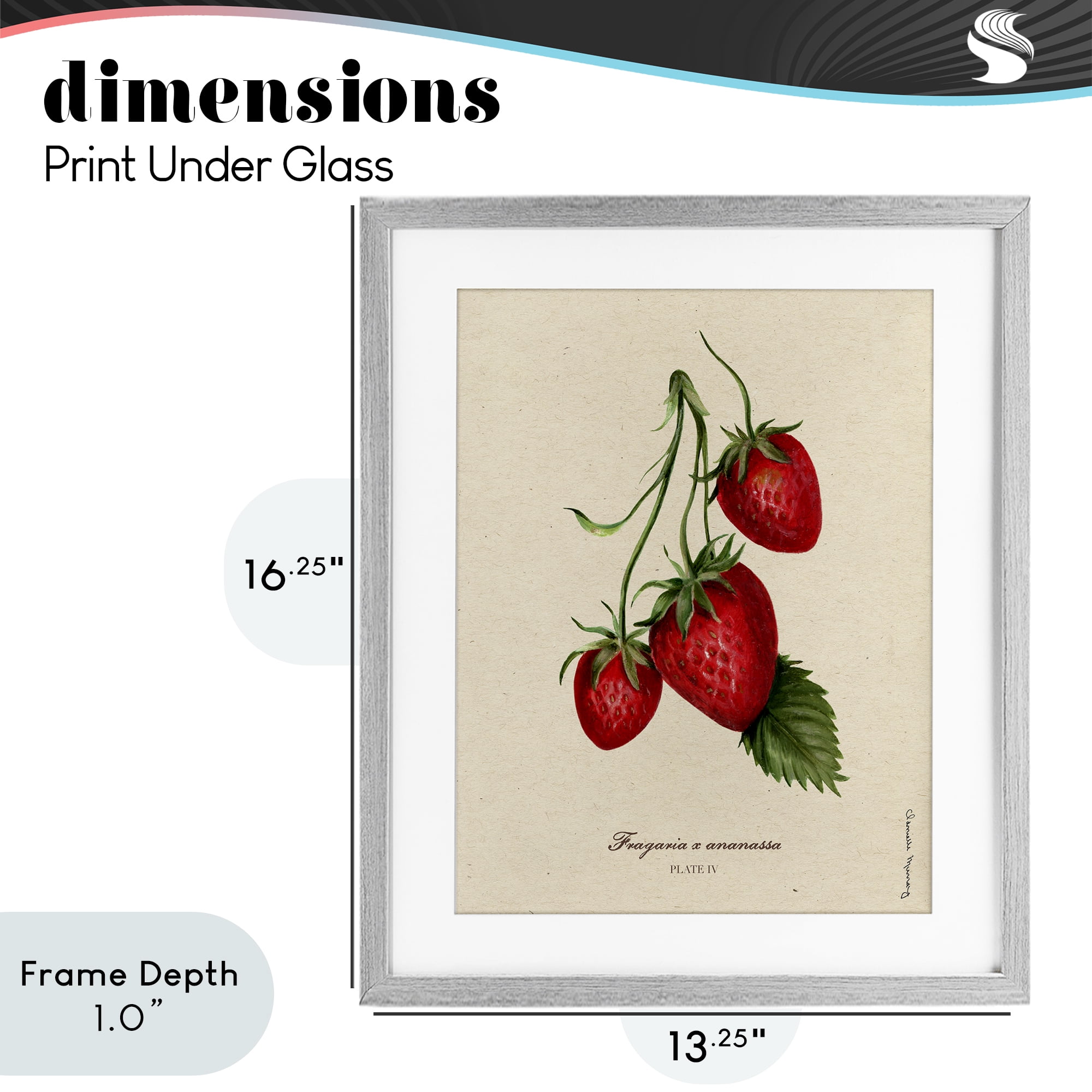Stupell Industries Strawberry Fruit Portrait Gray Framed Print Under Glass, design by Danielle Murray