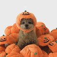 thumbnail image 1 of ITFABS Pets Accessories, Halloween Pumpkin Shaped Hat Decorative Tools, 1 of 9
