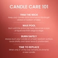 thumbnail image 5 of Yankee Candle Apple Pumpkin Original Large Jar Scented Candles, 22 oz, 5 of 7