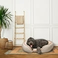 thumbnail image 3 of Large Orthopedic Oval Lounger Dog Bed, 38in, 3 of 4