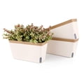 thumbnail image 1 of Chic Self-Watering Indoor Herb Planter, Modern Plastic Pots With Visible Water Level, Double Layer Design For Healthy Roots, Environmentally Friendly Non-Toxic ABS Plastic, Lightweight And Portable, 1 of 7