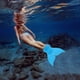 thumbnail image 5 of Aletas de Natación Ndcxsfigh Whale Tail Flipper Equipo Natación, 5 of 9