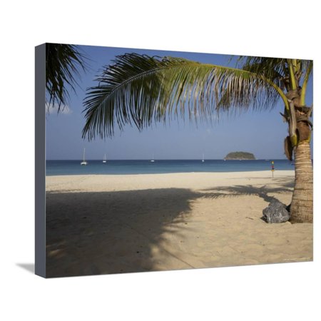 Palm Tree In Front Kata Beach Phuket Thailand Southeast Asia