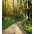 thumbnail image 3 of Outdoor Duvet Cover Set, Footpath Green City Park Sun Rays Freshness Hiking Forest Tranquil Botany, Decorative 3 Piece Bedding Set with 2 Pillow Shams, Calking Size, Green Beige Yellow, by Ambesonne, 3 of 3