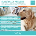 thumbnail image 4 of NUSENTIA UTRIN - Urinary Support for Cats & Dogs - Dual-Action Cranberry & D-Mannose - for Natural Bladder Health, Incontinence, and Recurring UTI, 60 Servings, 4 of 6