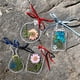thumbnail image 3 of Botella de MarcapáGinas de Flores Secas, MarcapáGinas de Flores Secas Transparentes, MarcapáGinas de Flores Secas DIY, Apto para GraduacióN de NiñAs y NiñOs A, 3 of 8